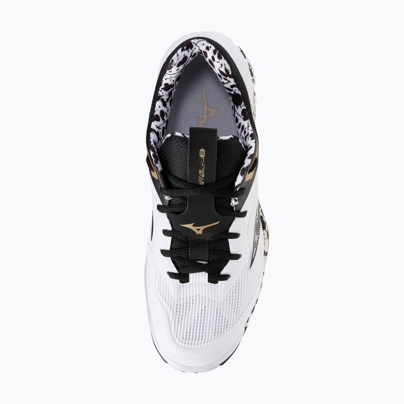 Boty na házenou Mizuno Wave Stealth 6 white/black/gold 12