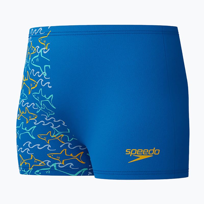 Dětské plavecké boxerky Speedo Digital Allover Aquashort lagoon blue 3