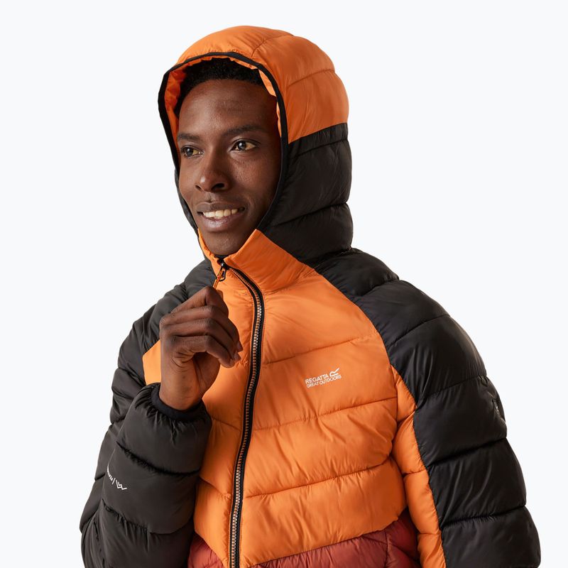 Pánská oteplená bunda  REGATTA Hooded Dalent fox/red ochre 4