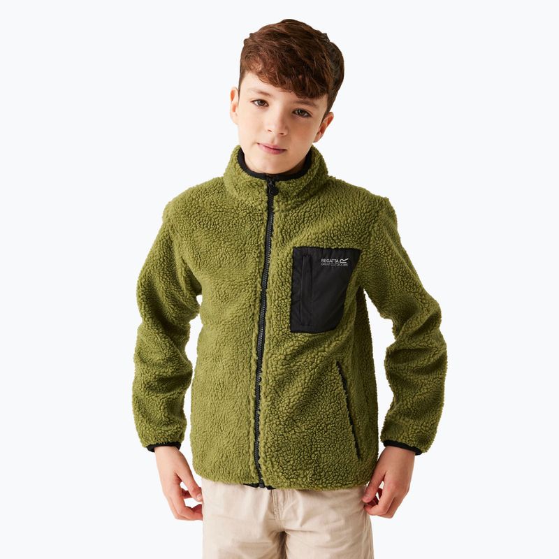 Dětská mikina REGATTA Junior Frankie Full Zip nephrite green