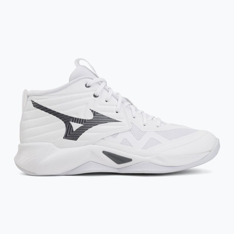 Volejbalové boty Mizuno Wave Momentum Pro Mid white/metallic gray/black 2