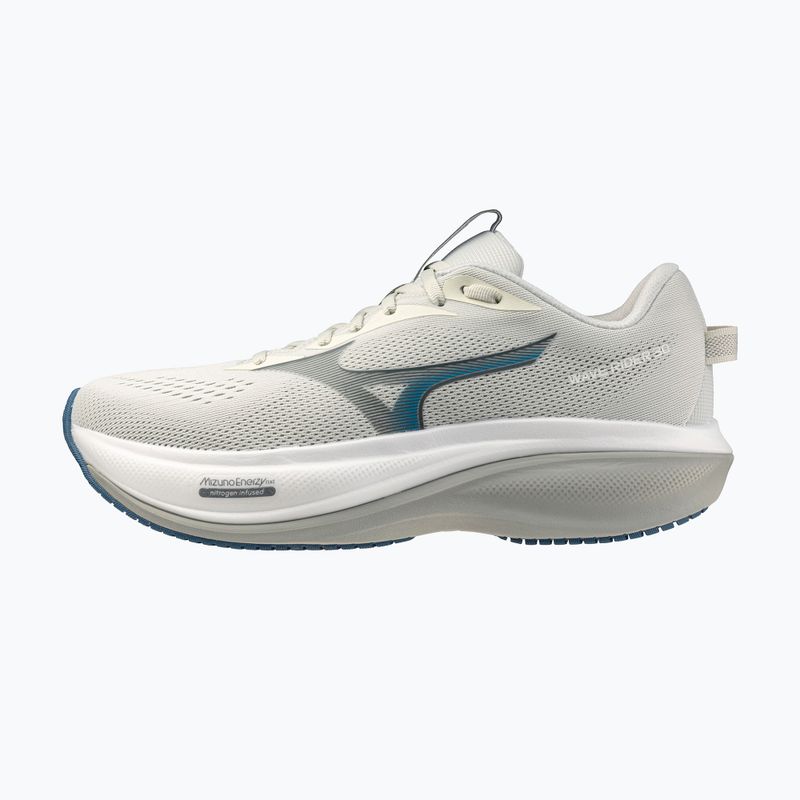 Pánské běžecké boty Mizuno Wave Rider 30 foggy dew/dark slate/white