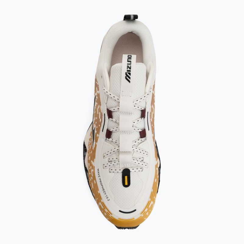 Boty Mizuno Wave Prophecy 13.2 Harvest Gold/Black/Snow White 5