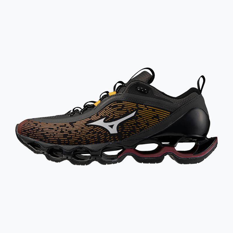 Boty Mizuno Wave Prophecy 13.2 Henna/Cloudscape/Black Oyster 2