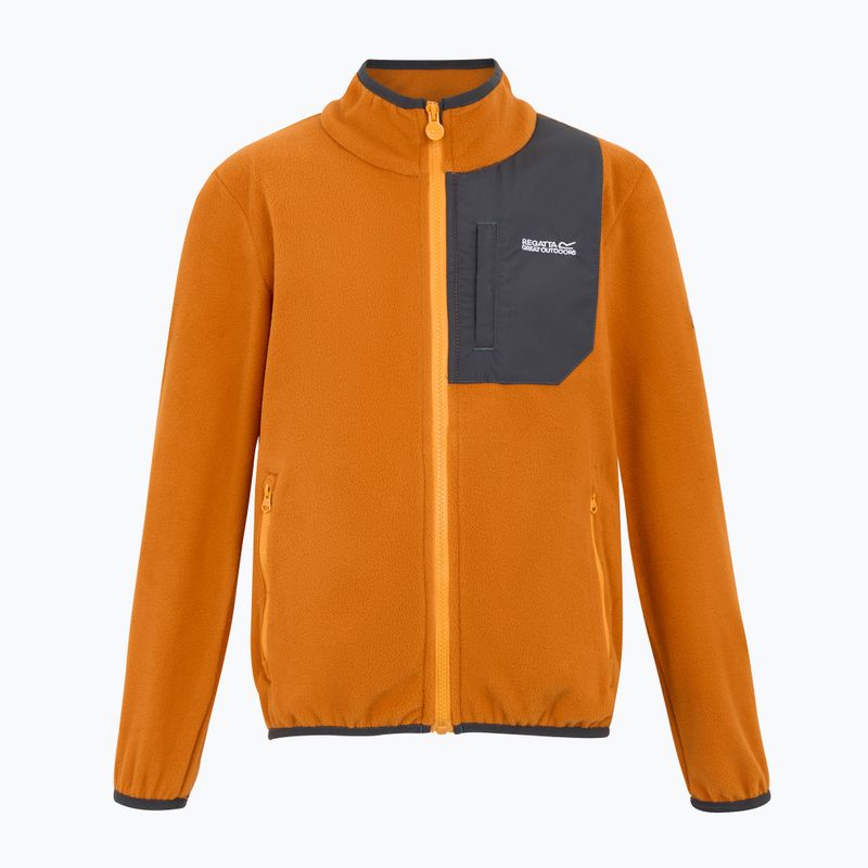 Dětská fleecová mikinaREGATTA Frankie Full Zip fox 5