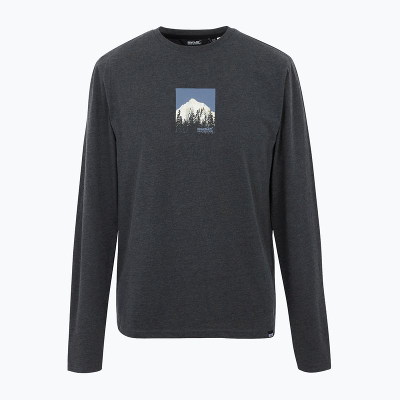 Pánské tričko REGATTA Maylow black 5