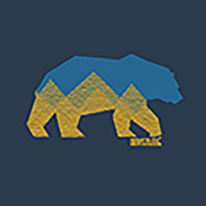 Pánské tričko REGATTA ClineIX moonlight denim bear 8