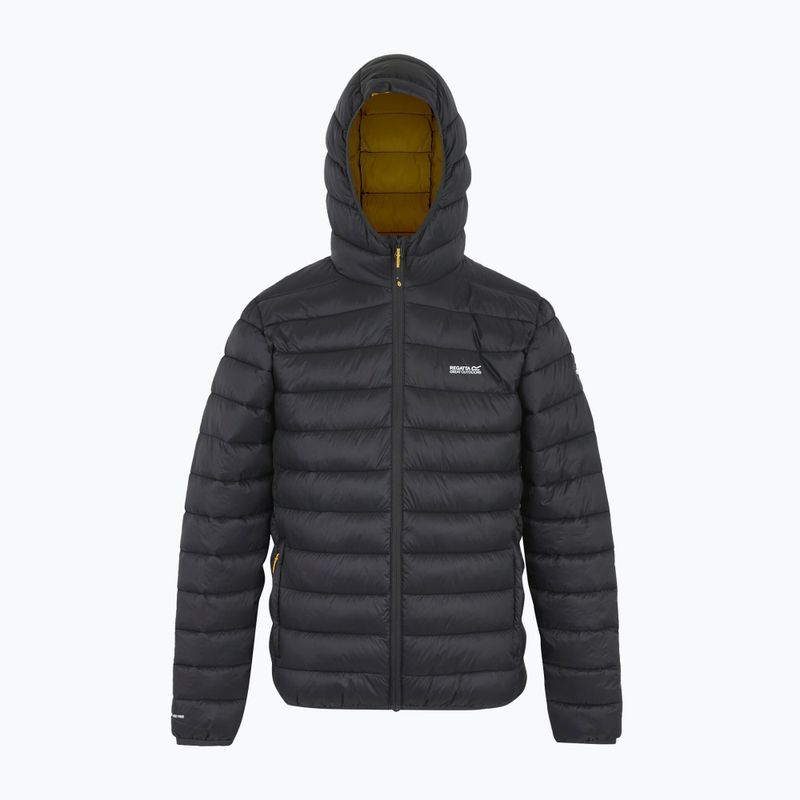 Pánská bunda REGATTA Hooded Marizion ash/gold 8