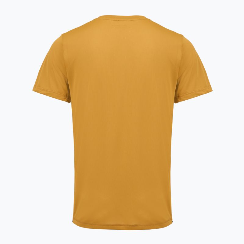 Pánské trekové tričko REGATTA Mindoi Anti Insect wood brown 2