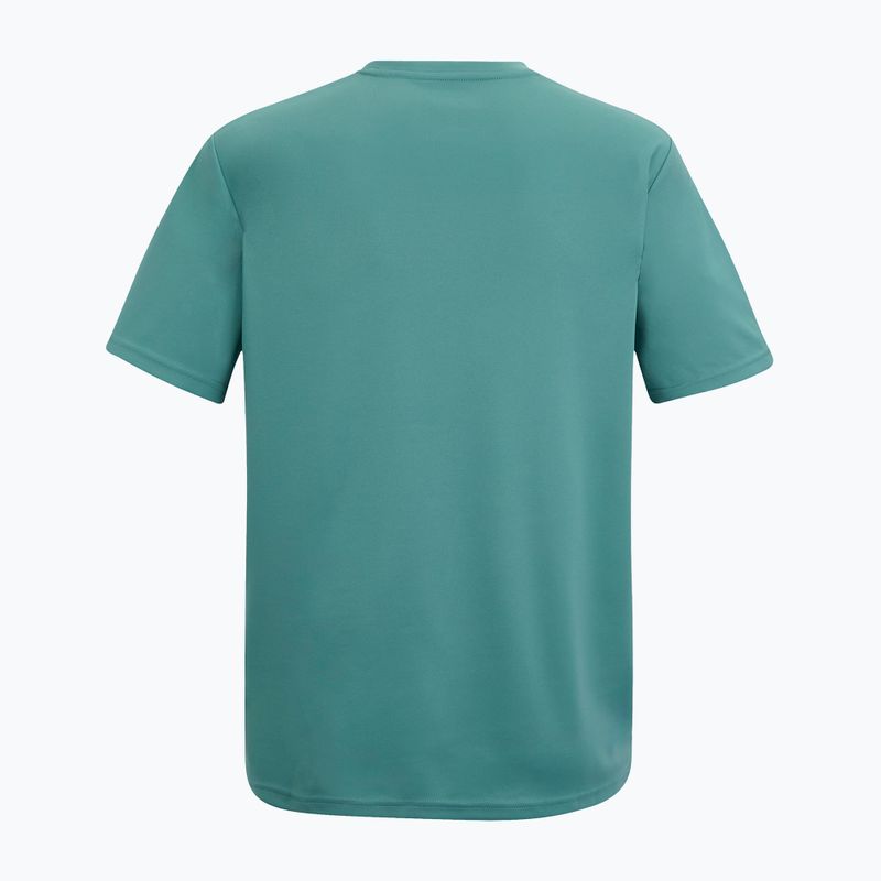 Pánské trekové tričko REGATTA Fingal arctic 6