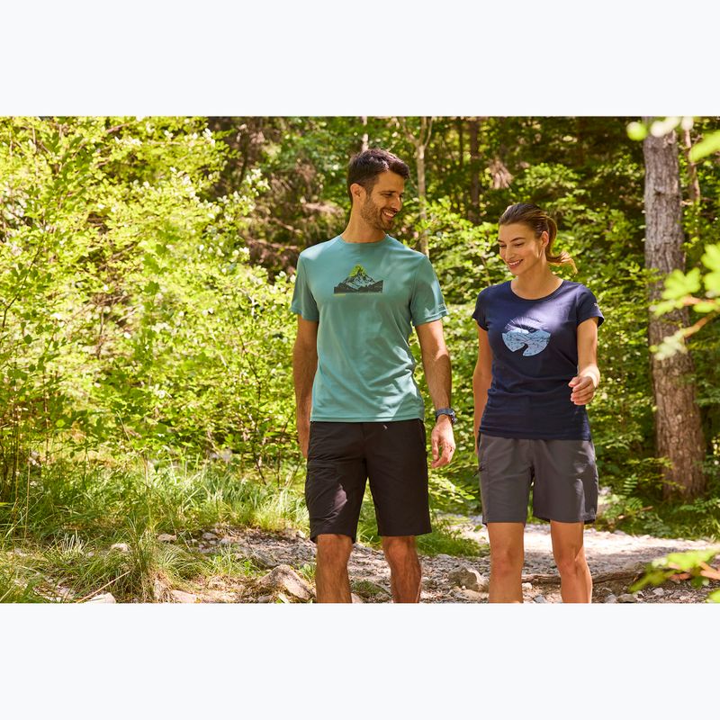 Pánské trekové tričko REGATTA Fingal arctic 9