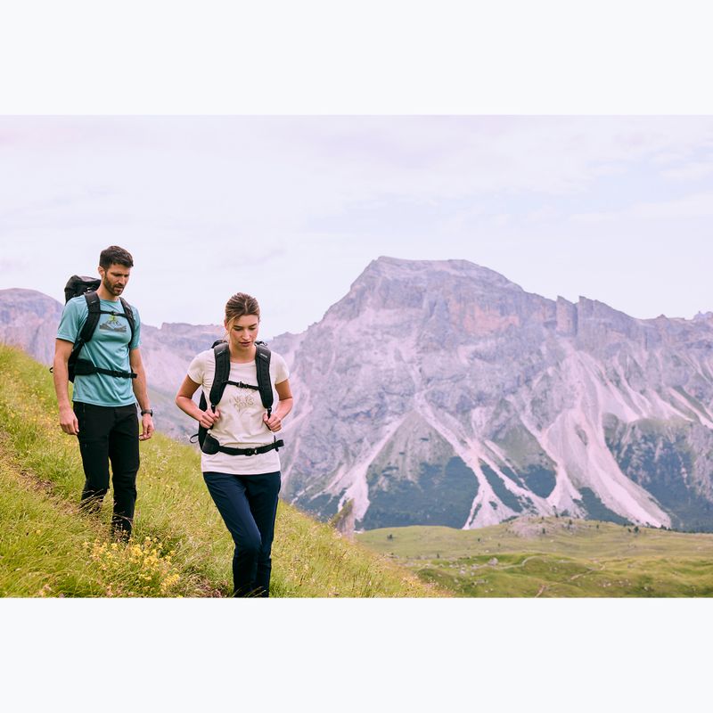 Pánské trekové tričko REGATTA Fingal arctic 11