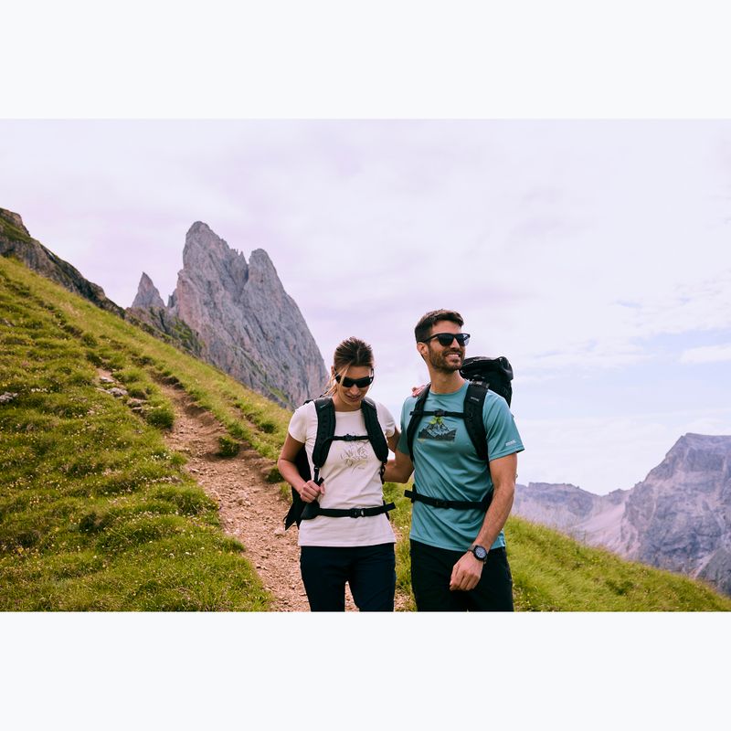 Pánské trekové tričko REGATTA Fingal arctic 12