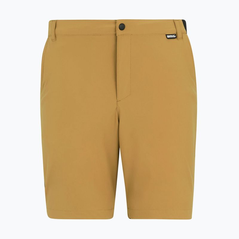 Pánské trekingové šortky REGATTA Anti Insect Travel Light wood brown 5