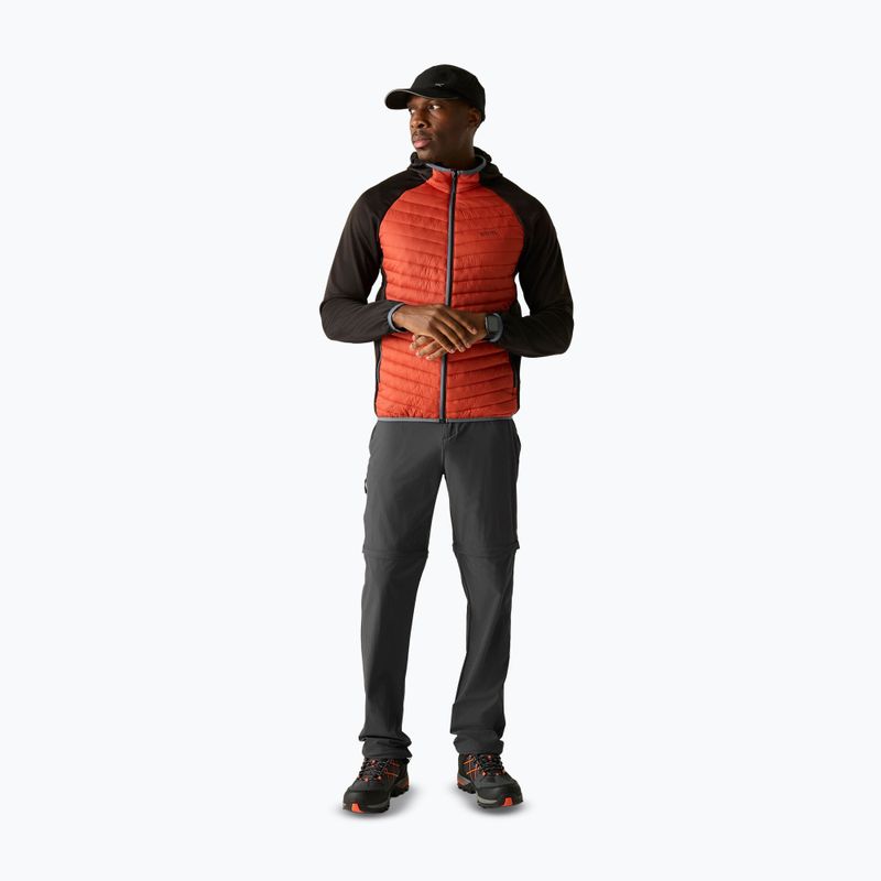 Pánské trekové kalhoty REGATTA Anti Insect Travel Light ash 2