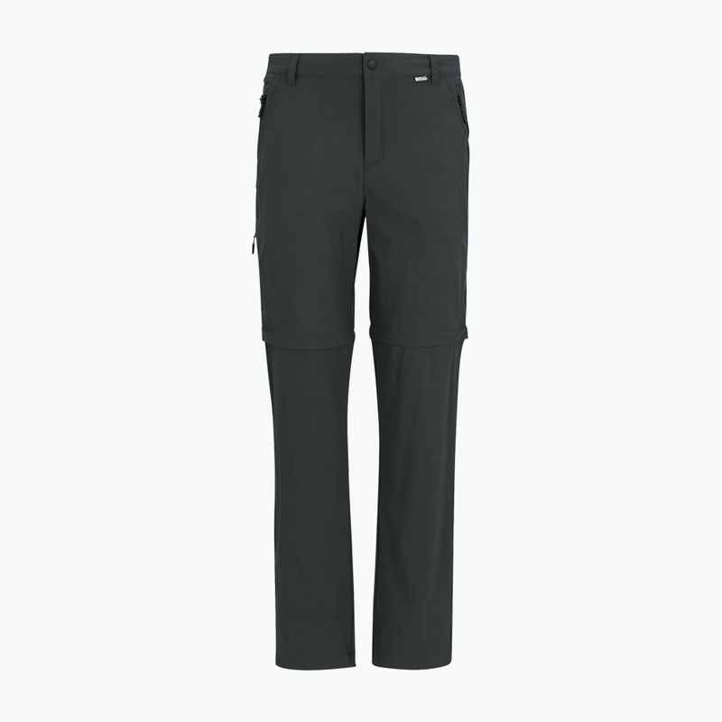 Pánské trekové kalhoty REGATTA Anti Insect Travel Light ash 8