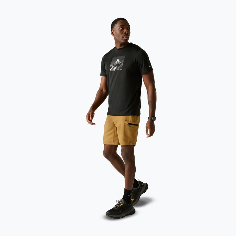 Pánské trekingové šortky REGATTA Leesville III wood brown 2