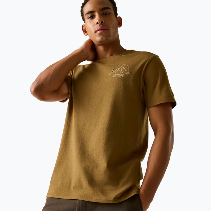 Pánské tričko na lezení Regatta ClineIX rich tan original outdoor 4