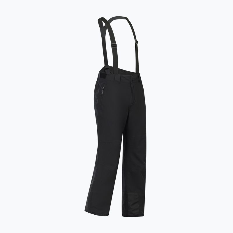 Pánské lyžařské kalhoty Dare 2b Achieve III Pant black 10