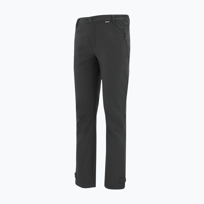 Pánské softshellové kalhoty REGATTA Geo Softshell ash 9