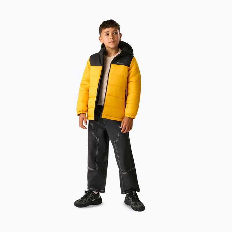 Dětská zateplená bunda REGATTA Lofthouse black/mustard 2