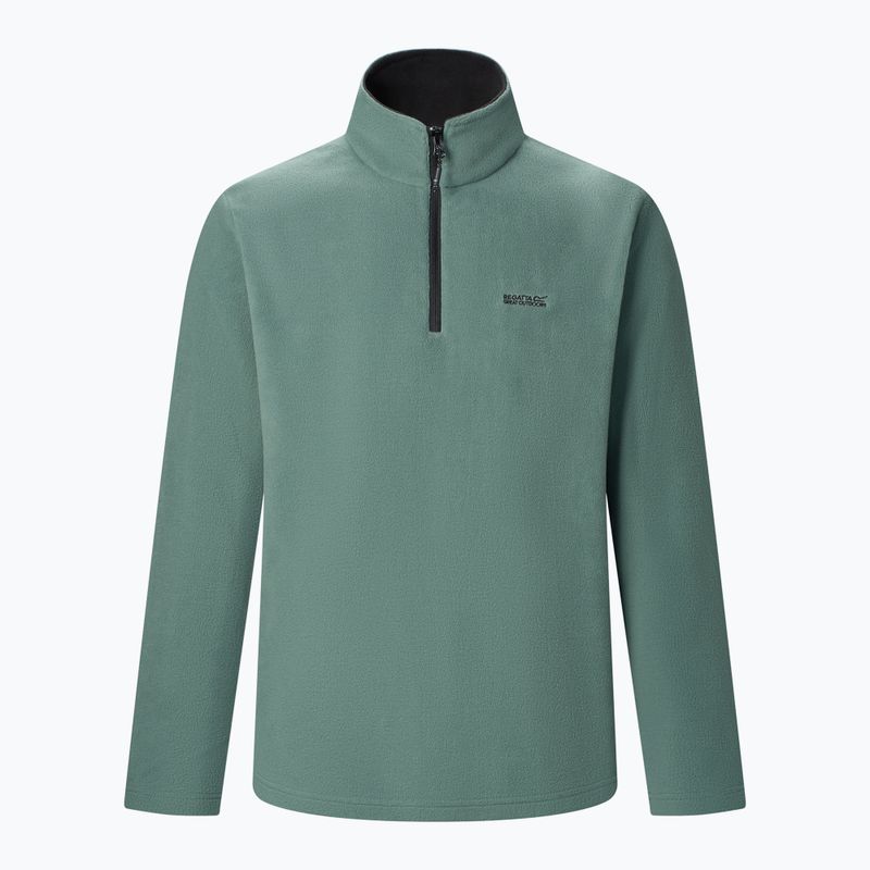 Pánská fleecová mikina Regatta Thompson dark forest green 6