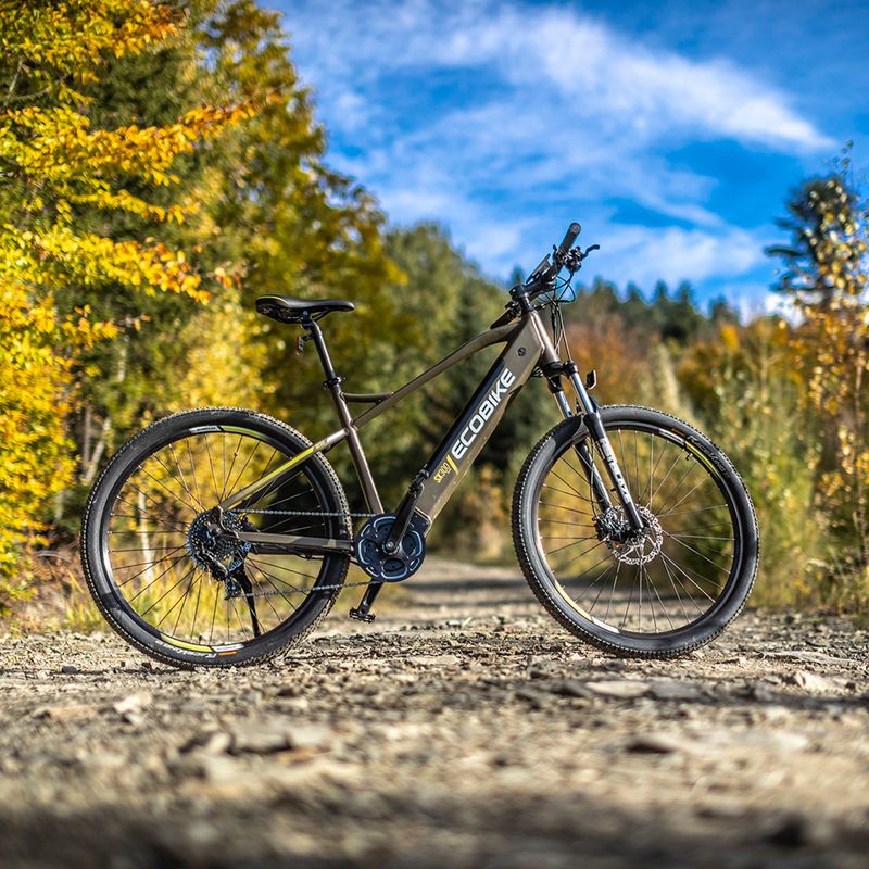 Jízdní kolo Ecobike el.SX300/X300 LG 12.8Ah zelená 1010404 18