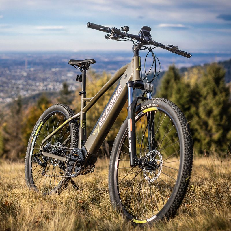 Jízdní kolo Ecobike el.SX300/X300 LG 12.8Ah zelená 1010404 19