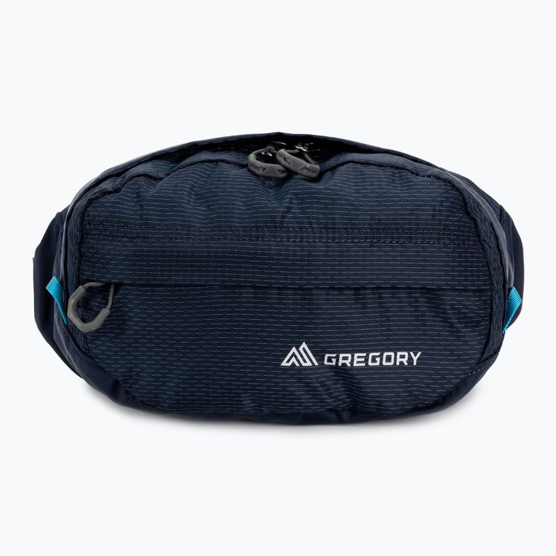 Ledvinka Gregory Nano Waistpack tmavě modrá 126861 3