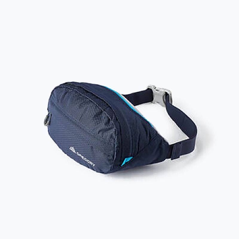 Ledvinka Gregory Nano Waistpack tmavě modrá 126861 9