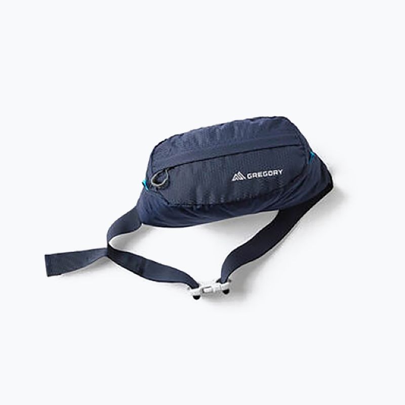 Ledvinka Gregory Nano Waistpack tmavě modrá 126861 11