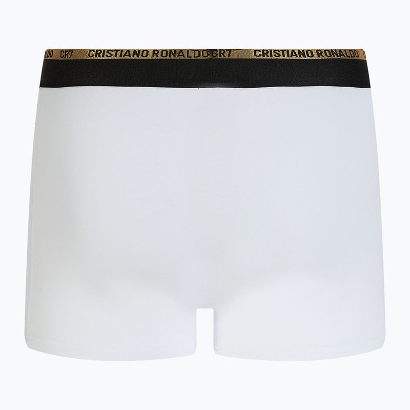 Pánské boxerky  CR7 Basic Trunk 3 pary balck/white/grey 3