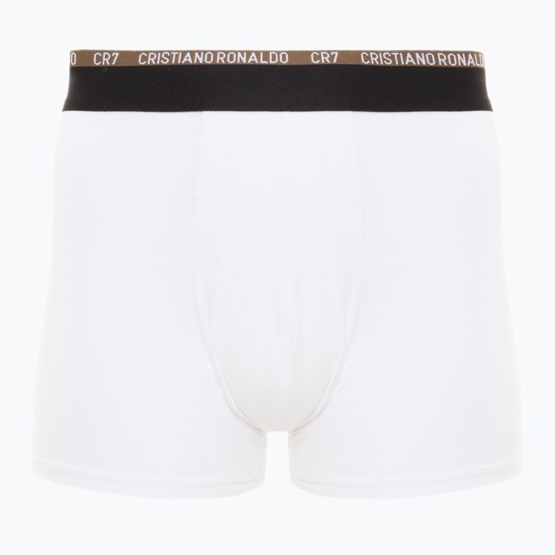Pánské boxerky CR7 Basic Trunk 10 ks multicolur 2