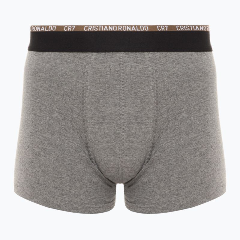 Pánské boxerky CR7 Basic Trunk 10 ks multicolur 3