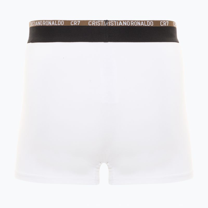 Pánské boxerky CR7 Basic Trunk 10 ks multicolur 5
