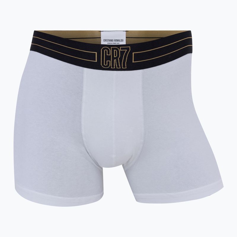 Pánské boxerky CR7 Basic Trunk 7 by 2815 multicolor 7