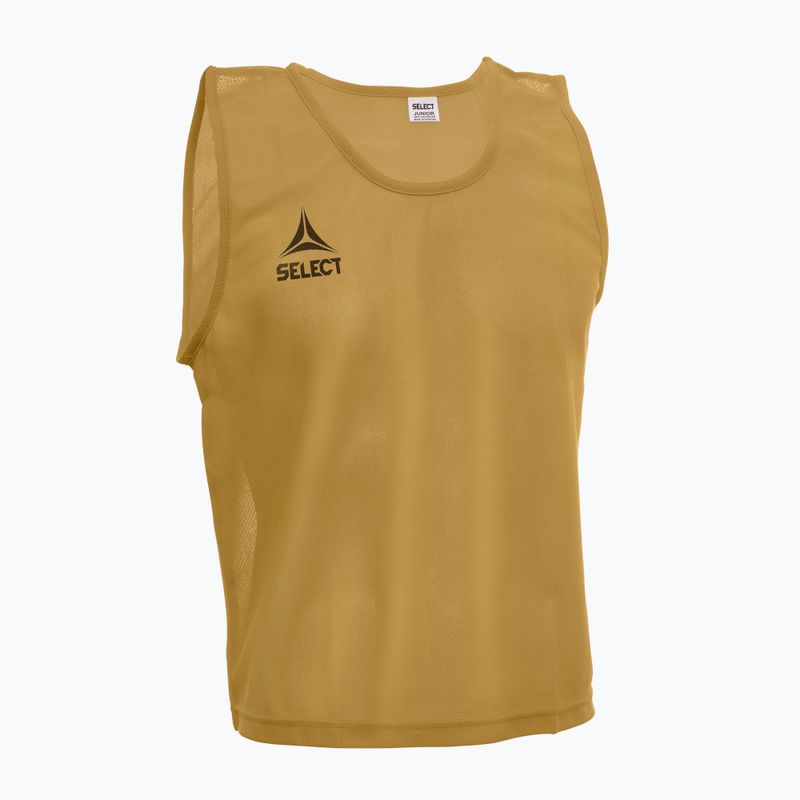 Seniorský fotbalový tréninkový kužel SELECT Basic gold