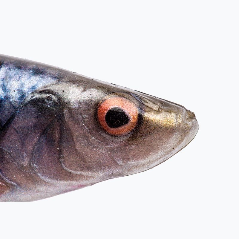 SavageGear LB 4D Herring Shad roach 63663 2