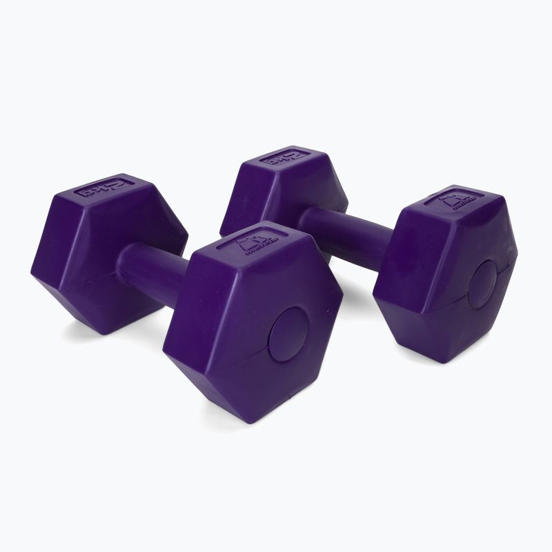 Bitumenové činky Meteor 2 x 2 kg fialové 30166