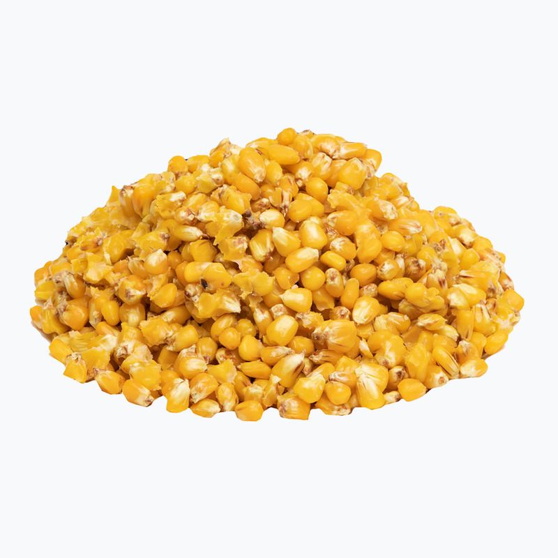 Carp Target Wild Rose Fishing Corn 0009 2