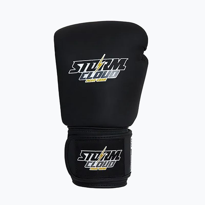 Boxerské rukavice StormCloud Blizzard black 2