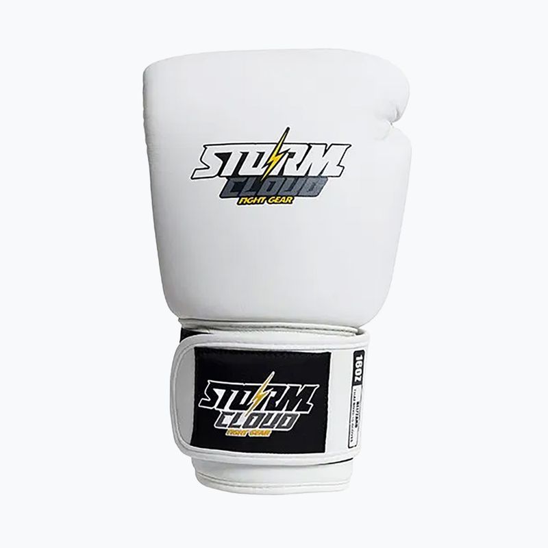 Boxerské rukavice StormCloud Blizzard white/black 2