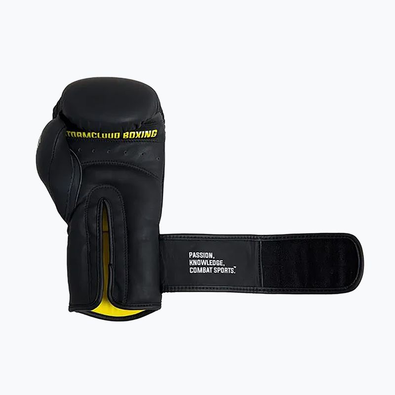 Boxerské rukavice StormCloud Boxing Pro black 6