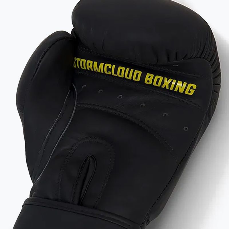 Boxerské rukavice StormCloud Boxing Pro black 9
