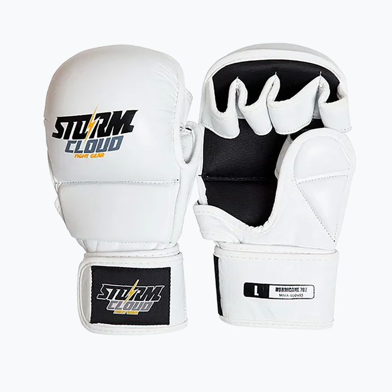 Grapplingové rukavice StormCloud Hurricane white/black