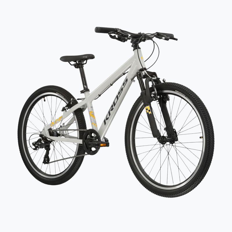 Dětské kolo KROSS Dust Jr 1.0 grey/black/gloss 2