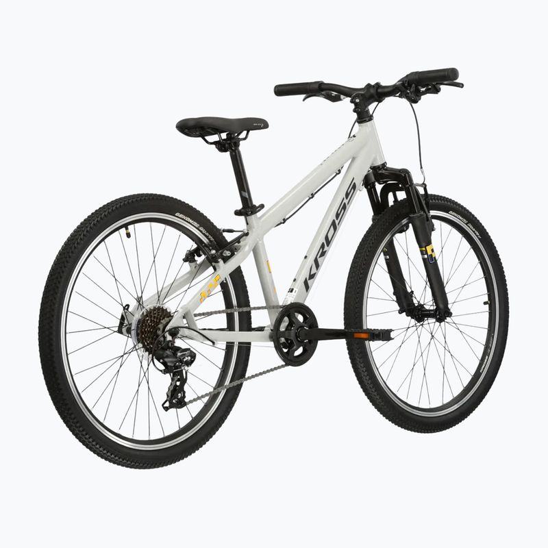Dětské kolo KROSS Dust Jr 1.0 grey/black/gloss 3