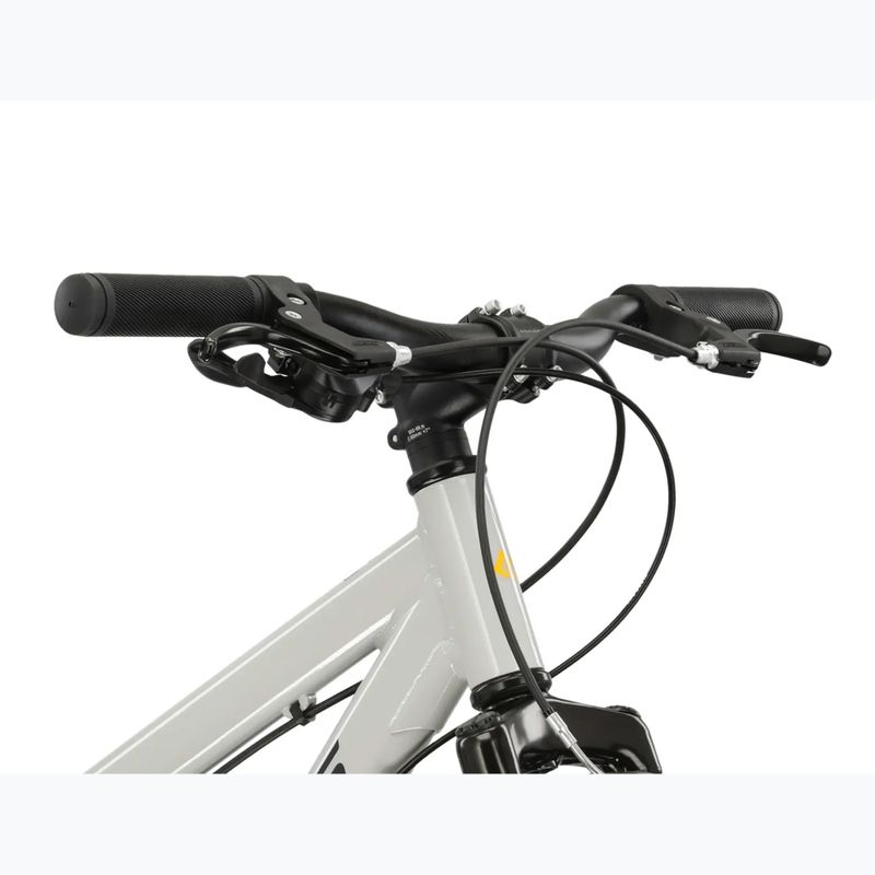 Dětské kolo KROSS Dust Jr 1.0 grey/black/gloss 4