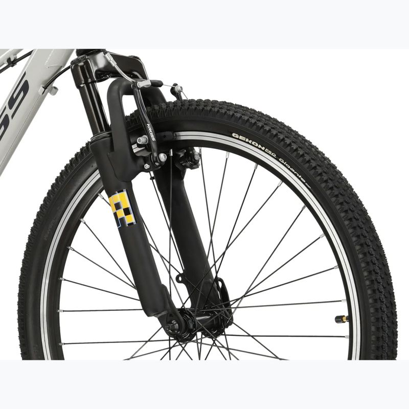 Dětské kolo KROSS Dust Jr 1.0 grey/black/gloss 5