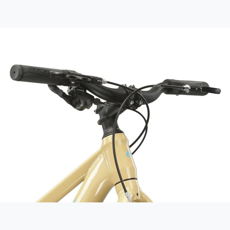 Dětské kolo KROSS Level Jr 1.0 beige/red/gloss 4